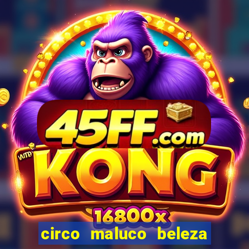 circo maluco beleza recife circo maluco